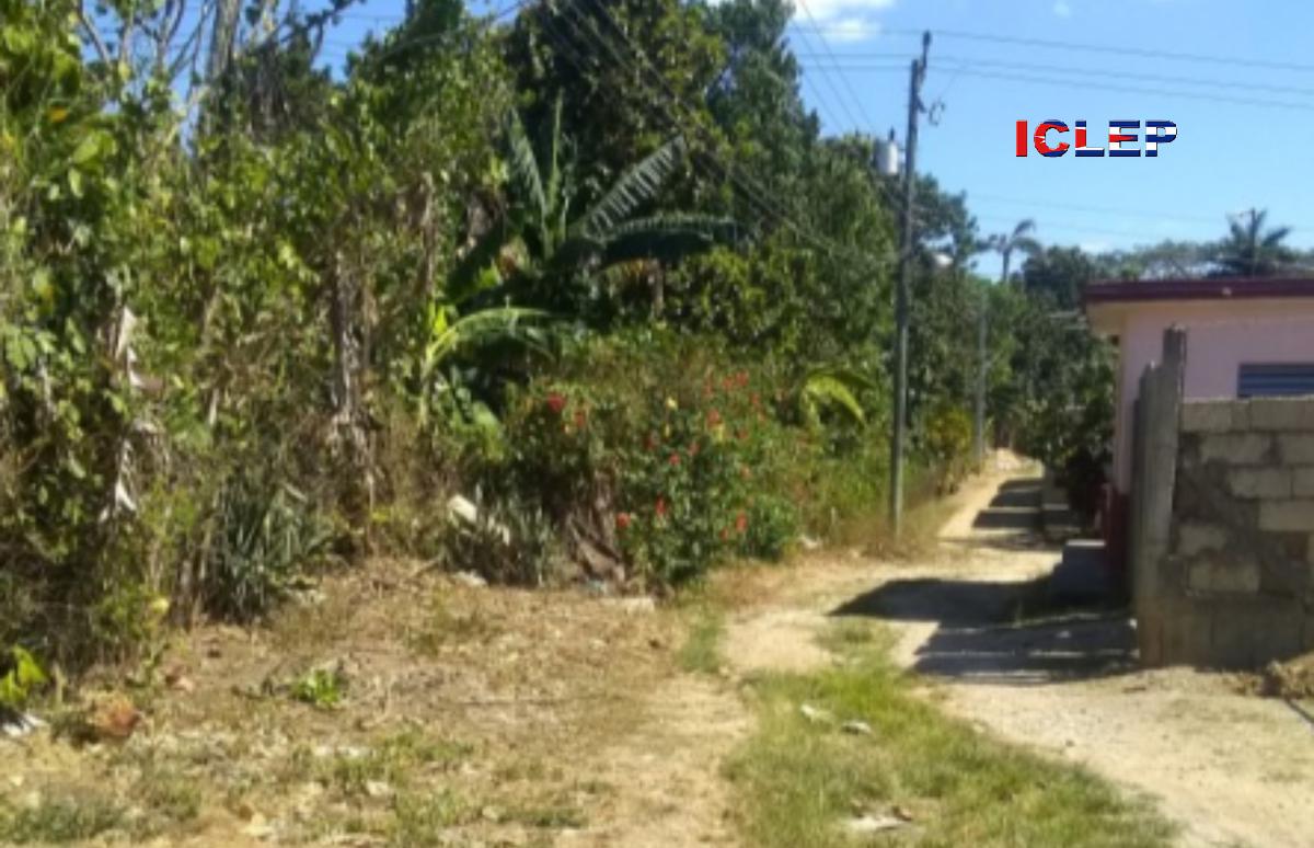 Acopio incumple contratos de compra con productores de Cabaiguán