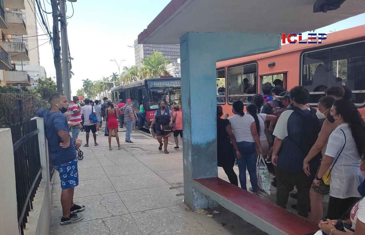Escasez de combustible genera largas filas de vehículos y afecta el  transporte público