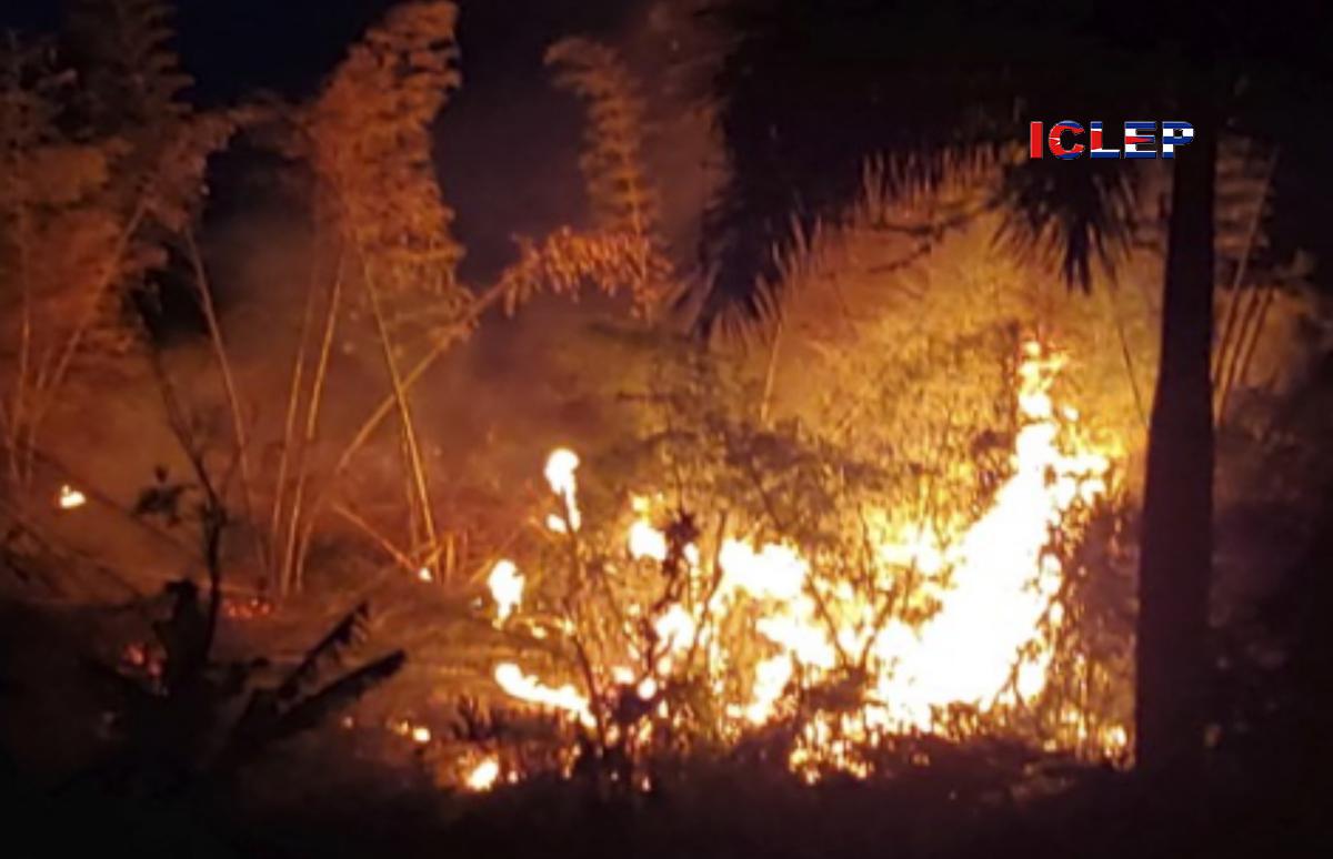 Devastador incendio consumió varias hectáreas de bosque por demora de los bomberos