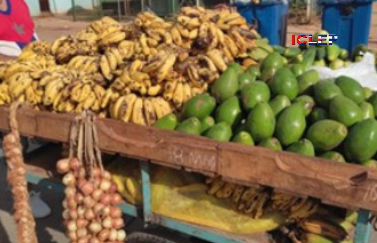 Inicia la temporada de aguacates con precios inalcanzables