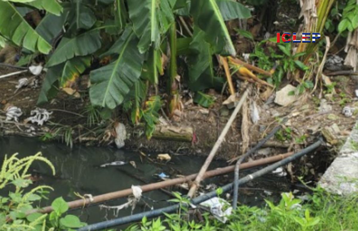 Brote diarreico pudiera estar relacionado con la contaminación del agua potable
