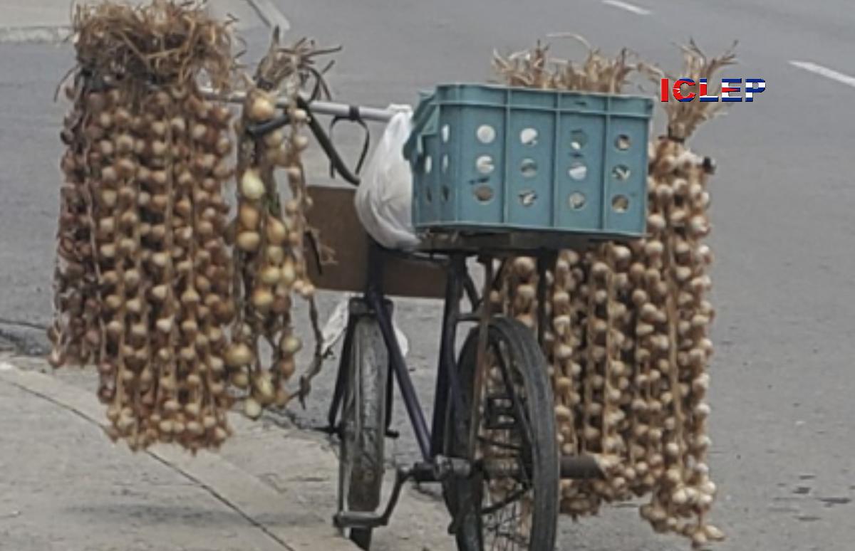 El precio del ajo en el mercado informal sube por día