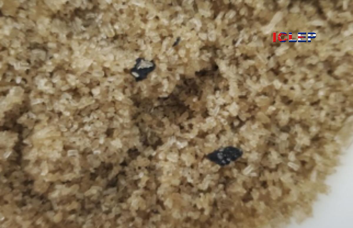Azúcar de la canasta básica contaminada con excremento de ratón