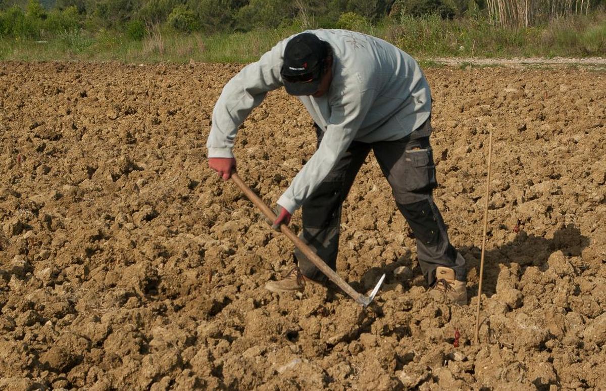 Trabajadores agrícolas reclaman almuerzo