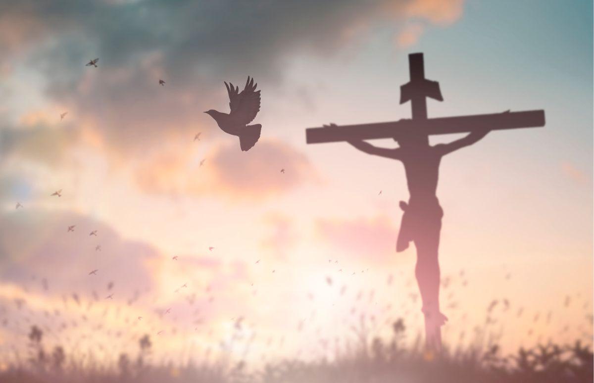A propósito del Viernes Santo.  (Evangelio: Juan 18, 1-19, 42)