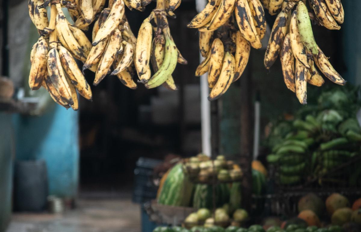 Produccción de alimentos, asignatura pendiente para el régimen