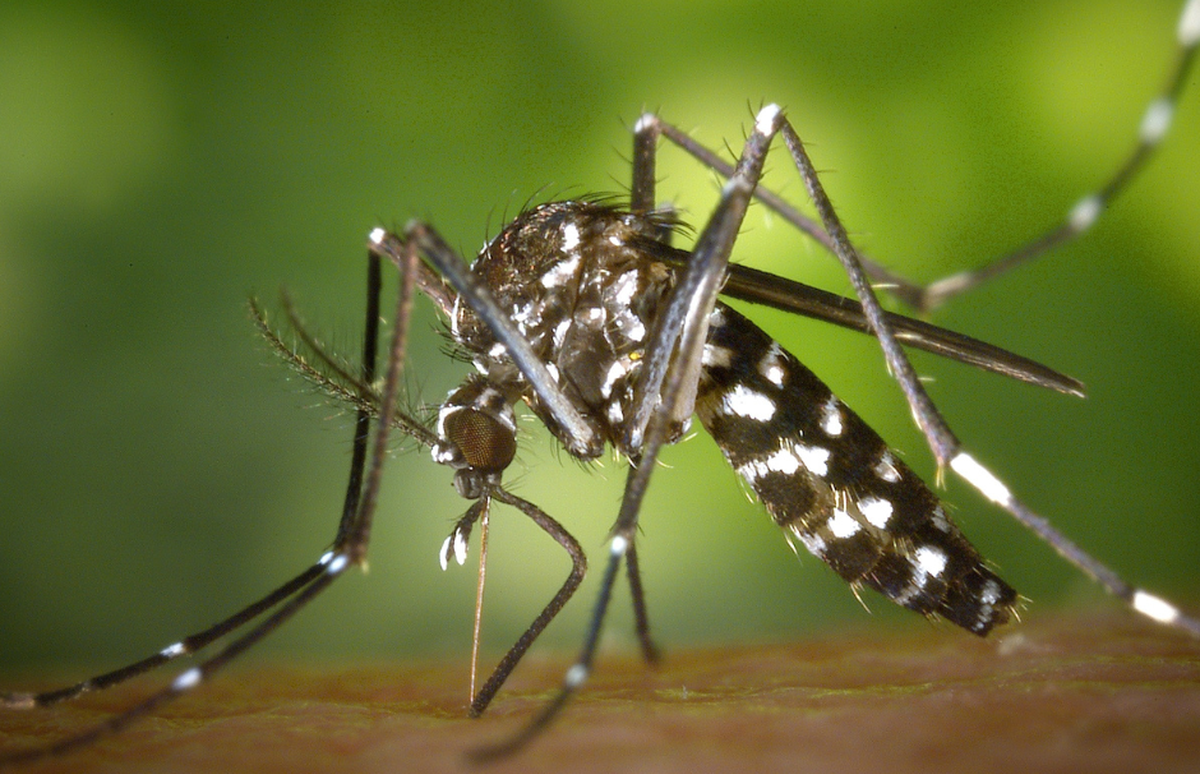 Alerta epidemiológica en el municipio de Cabaiguán