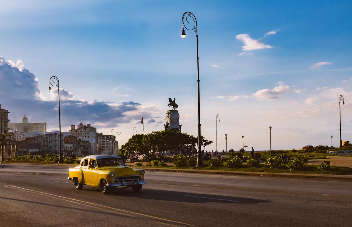 El nuevo año 2024, será el año del pulpo en Cuba