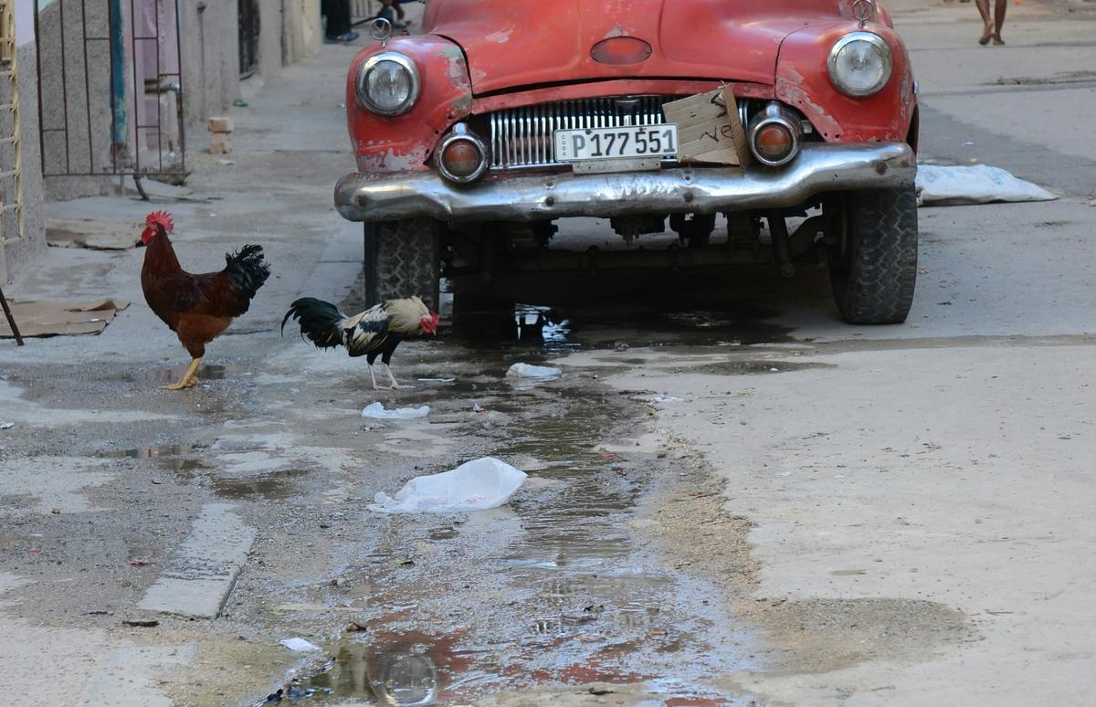 Vergüenza nacional, el Parlamento cubano de la basura