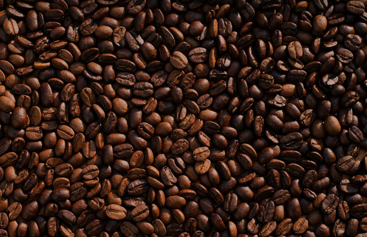 Continúa sin aparecer en las bodegas el café normado