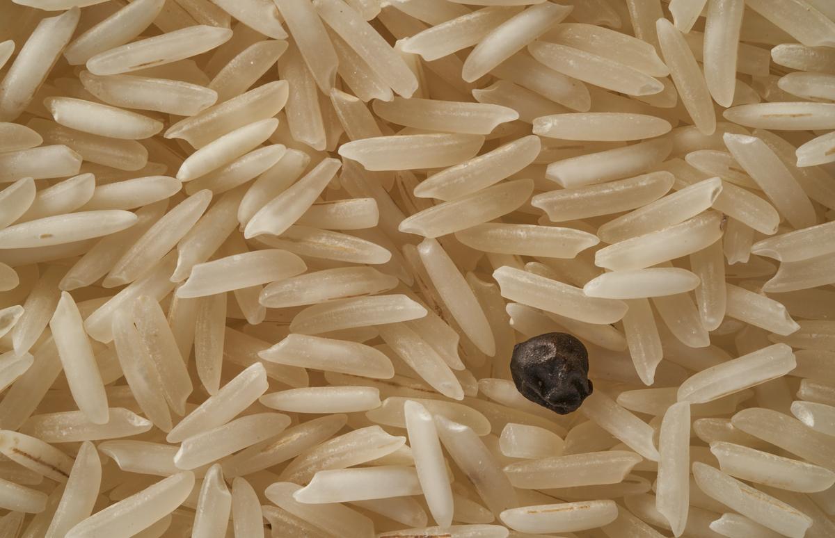 Vecinos del barrio Los Paragüitas reciben arroz en mal estado
