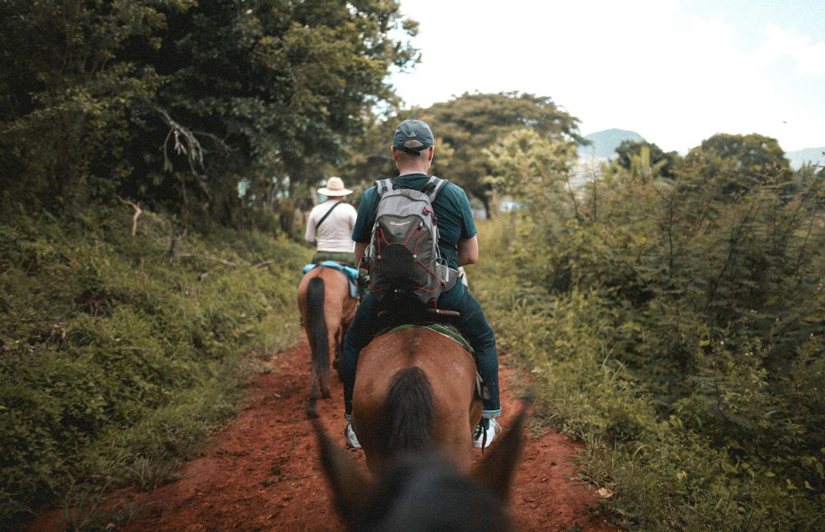 La provincia artemiseña podría quedarse sin caballos dentro de unos años