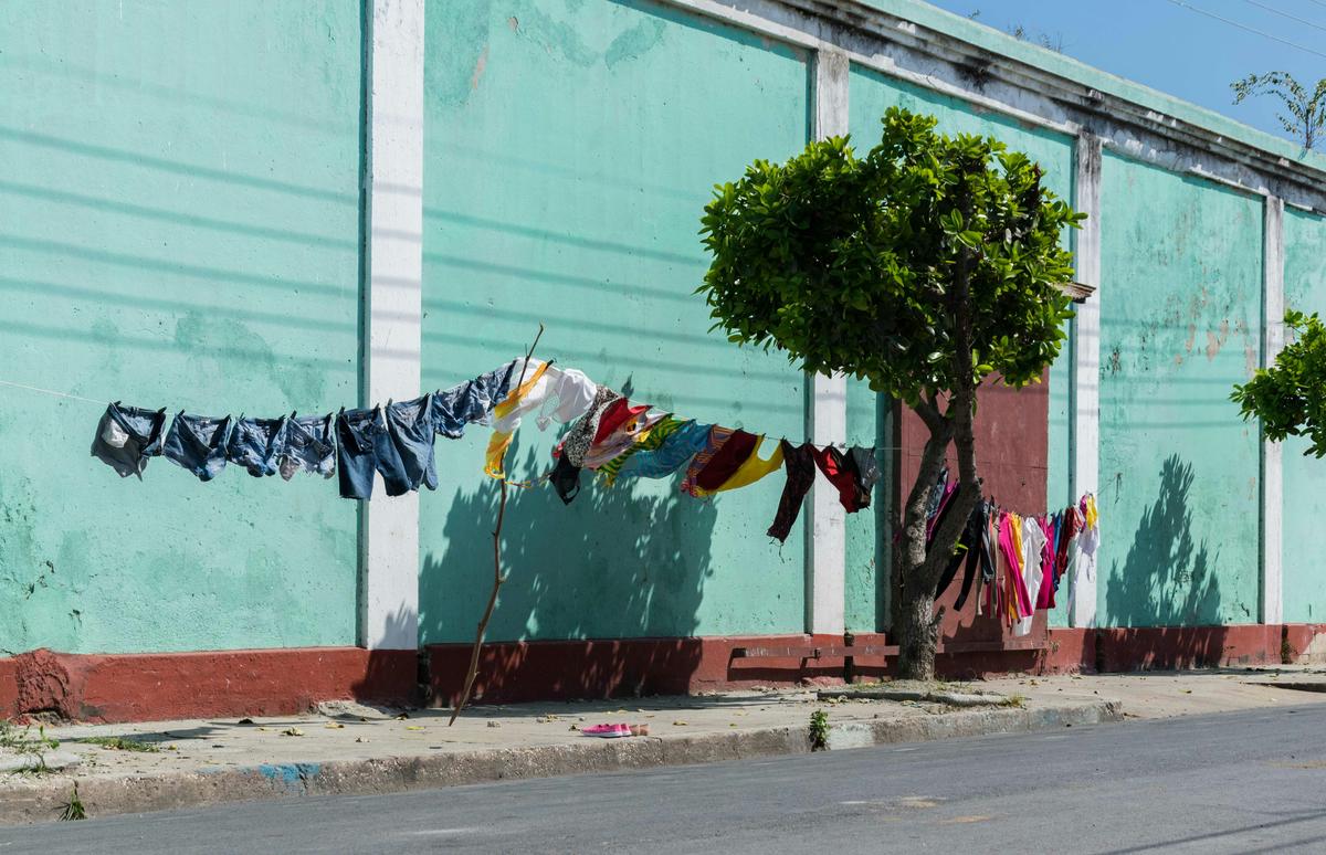 Demora el régimen en retirar un árbol de la calle Central