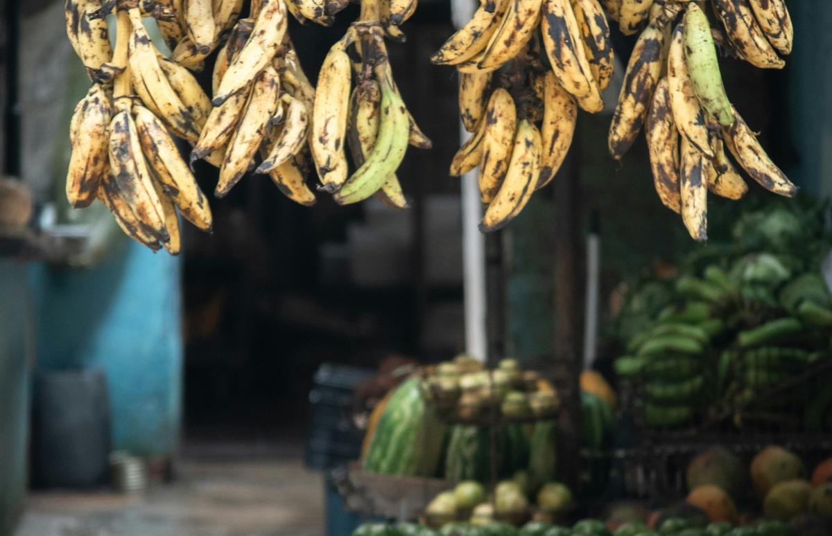 Régimen dice haber fichado las causas del caos agrario, los habaneros discrepan