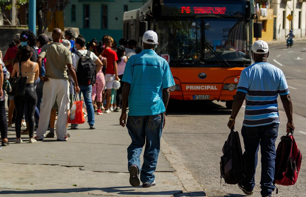 Frena el régimen aumento de los precios del transporte público