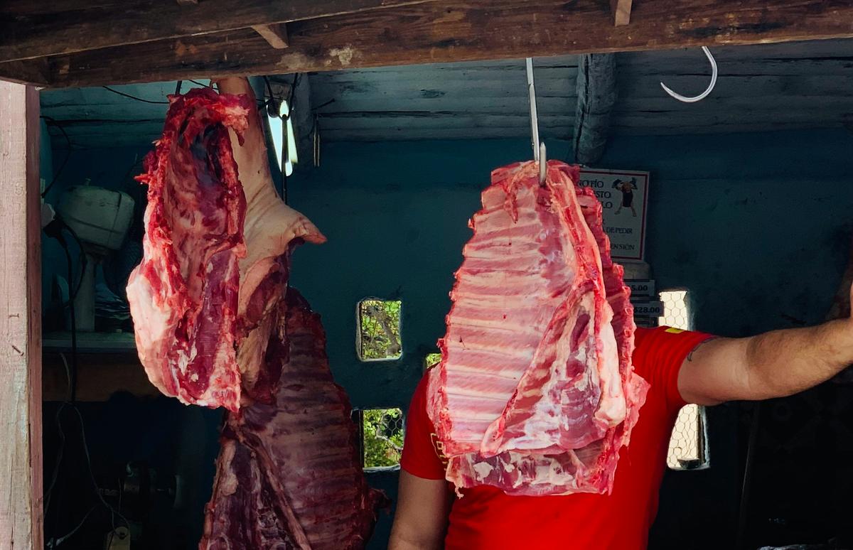 Impotentes las autoridades ante escalada del precio de la carne de cerdo