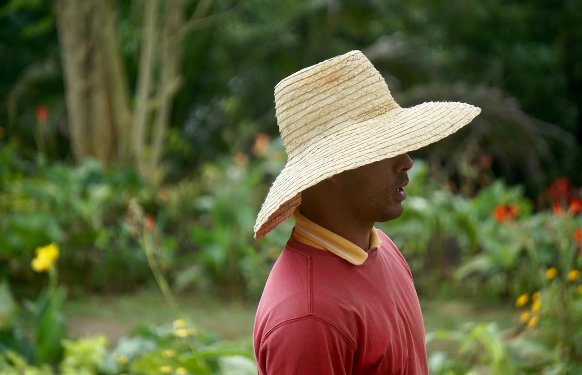 Productores espirituanos afectados por los altos precios de los insumos