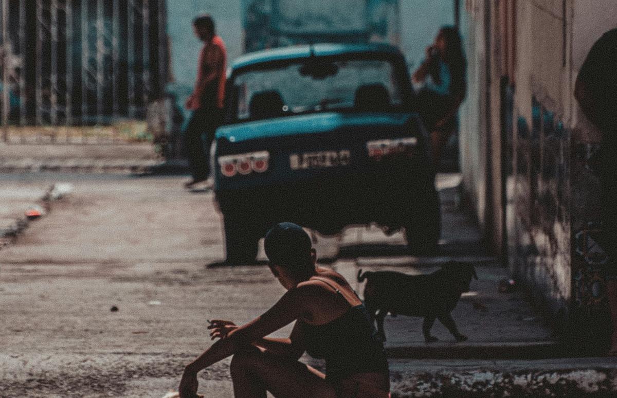 Movimiento Animalista Espirituano pide apoyo para refugio de animales