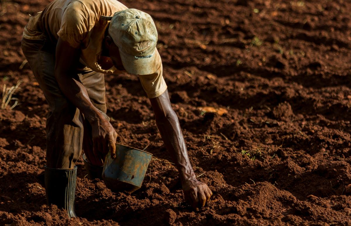 Anclado en el cerebro de los cubanos el despegue de la agricultura en la Isla