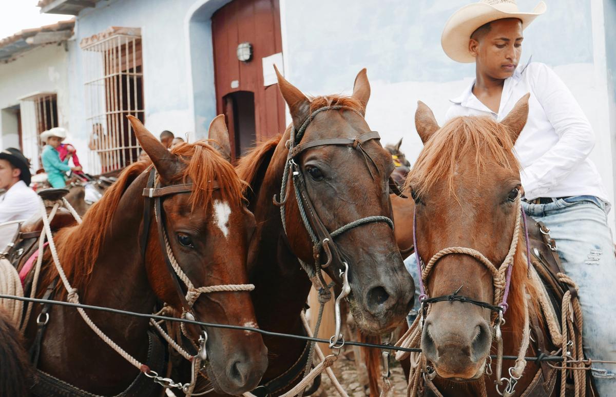 Nuevo hecho de maltrato animal en las calles espirituanas