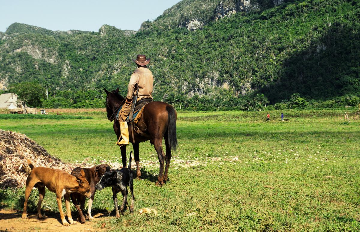 Campesinos espirituanos afectados por la bancarización