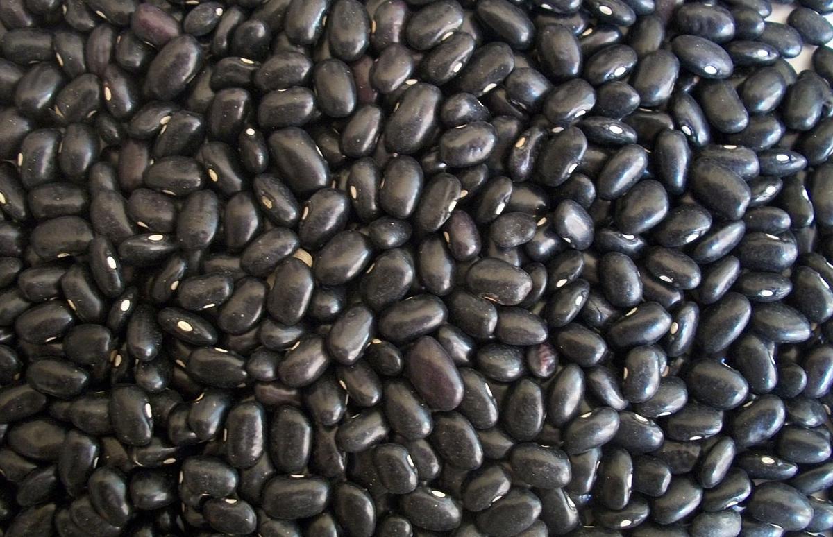 Sube el precio del frijol negro en las ferias agropecuarias