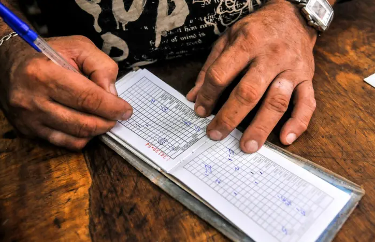 De fiesta las bodegas: luego de cinco meses, regresa el pollo de población