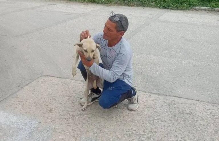 Niegan libertad condicional a animalista y preso político cubano Gustavo Mena Artola