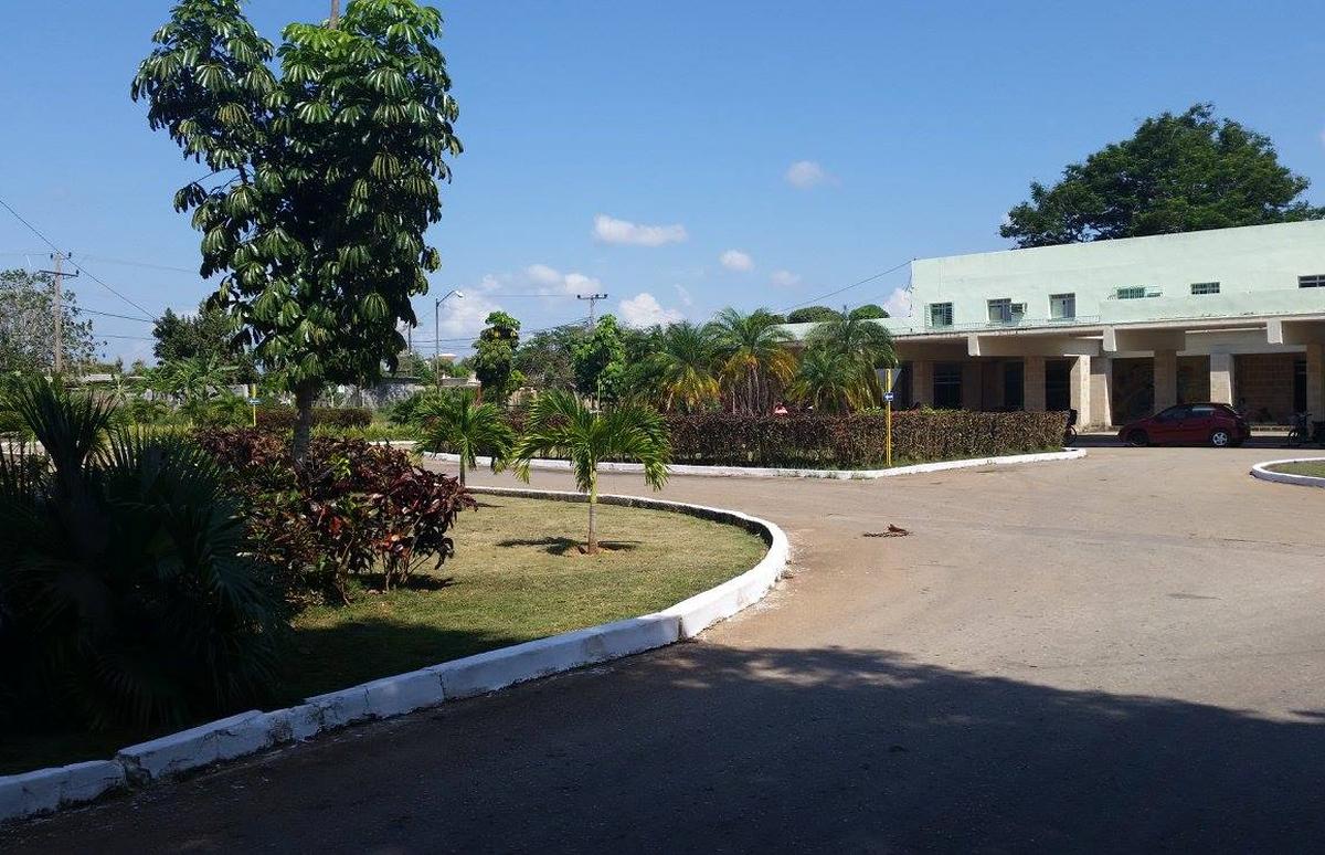 Las chinches “toman” el Hospital Ciro Redondo