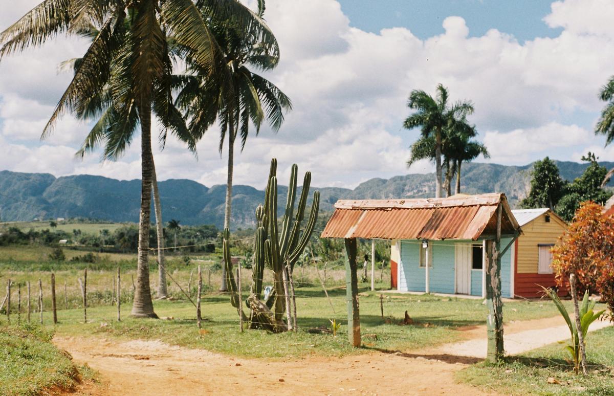 Sin campo no hay país: la tierra y el trabajo campesino como pilares de Cuba