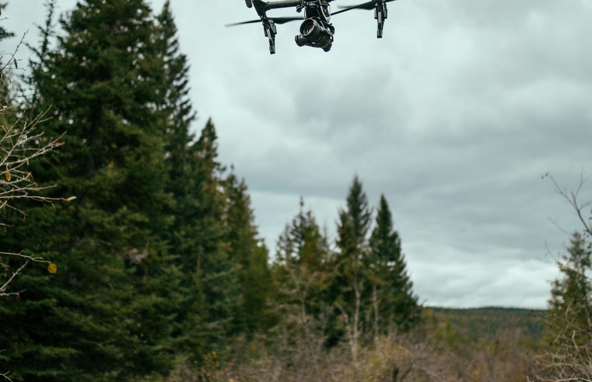Europa, la OTAN y Rusia entre incursiones aéreas, drones y un posible muro antidrones