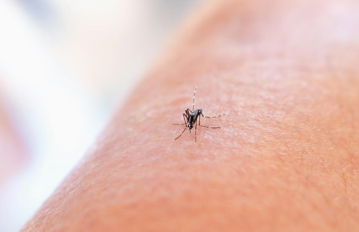 En Cuba si hay una crisis sanitaria y el régimen la ignora