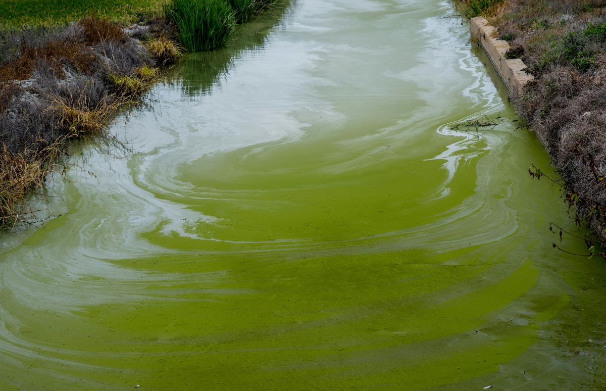 Agua contaminada y fallas técnicas afectan a varios repartos espirituanos