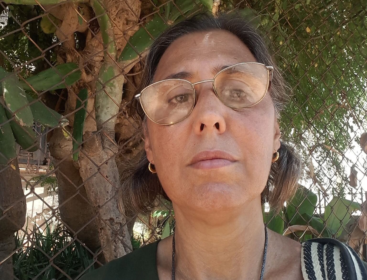 Profesora cubana denuncia represalia política en Academia San Alejandro