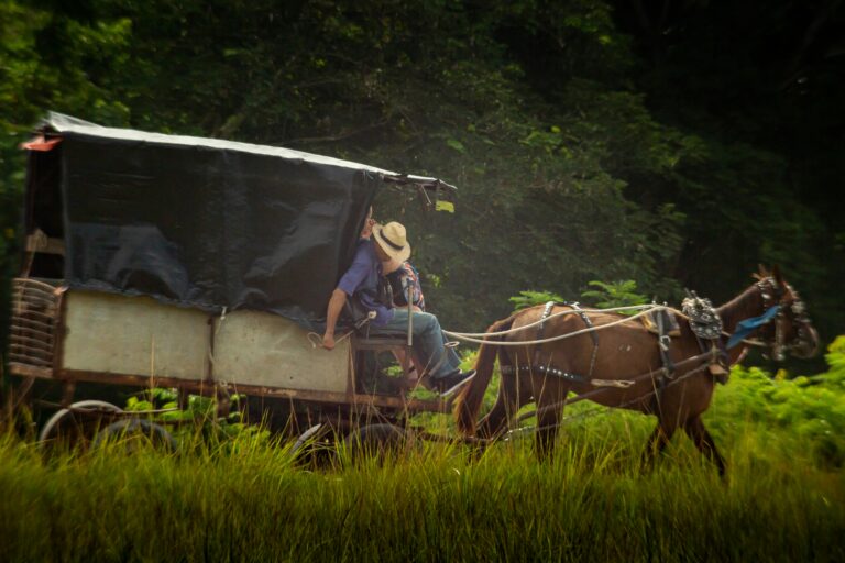 Una agricultura que se hunde a la par de la economía nacional