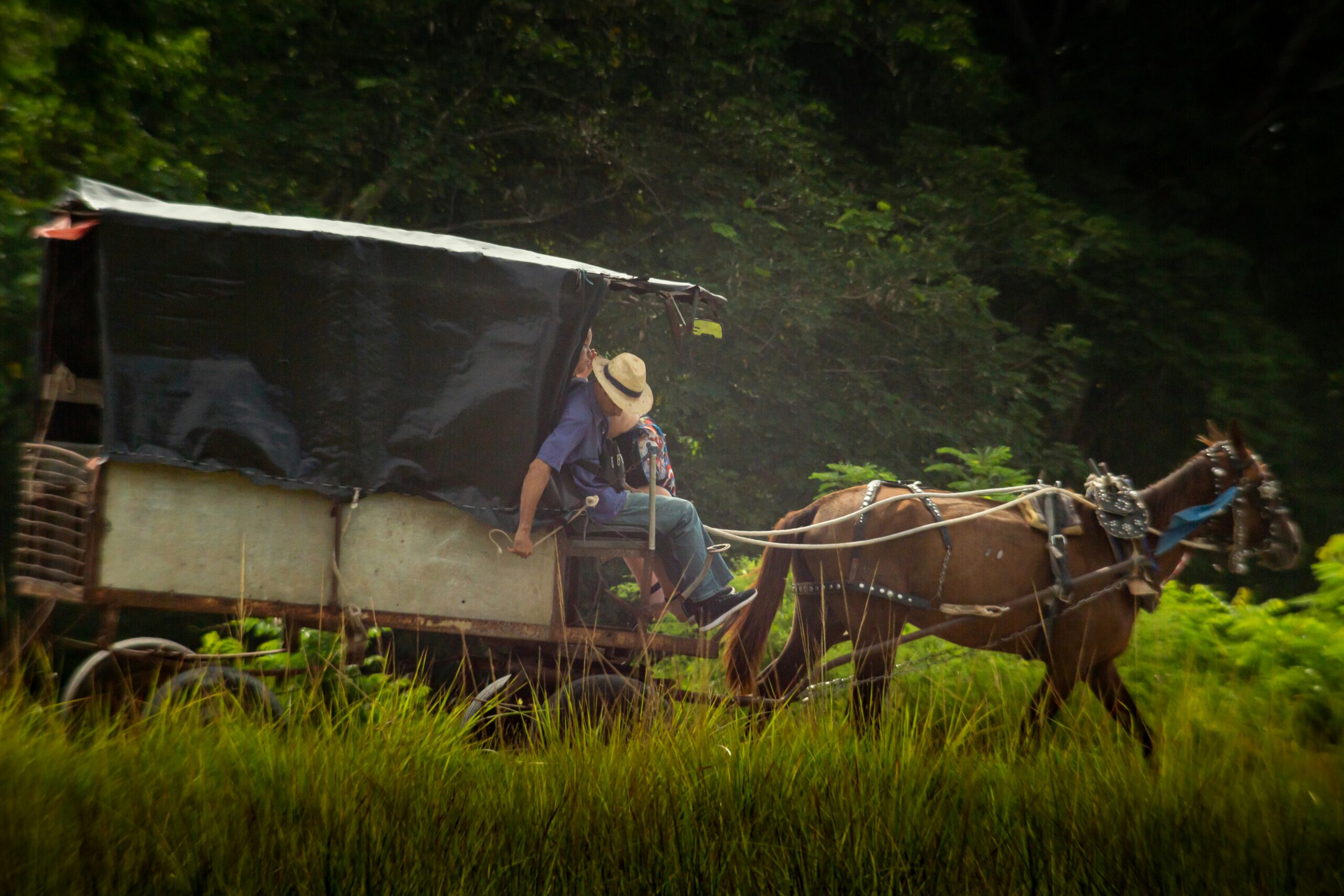 Una agricultura que se hunde a la par de la economía nacional