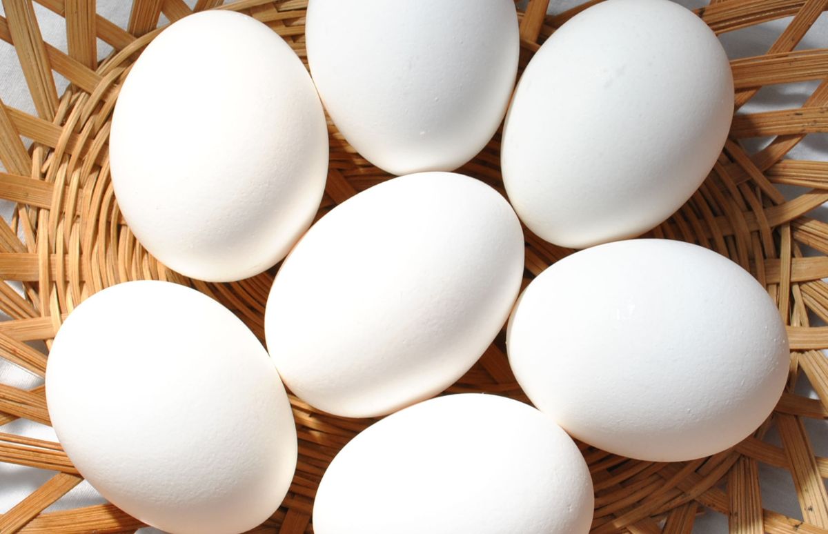 El cartón de huevos alcanza los 4.600 pesos en Sancti Spíritus