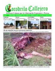 Cocodrilo Callejero — Edición 108 (Agosto 2019)