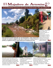 El Majadero de Artemisa #106
