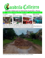 Cocodrilo Callejero — Edición 131 (Julio 2020)