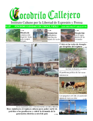 Cocodrilo Callejero — Edición 176 (Junio 2022)