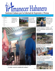Amanecer Habanero #256
