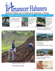 Amanecer Habanero #261