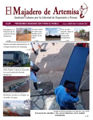 El Majadero de Artemisa #232