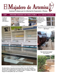 El Majadero de Artemisa #253